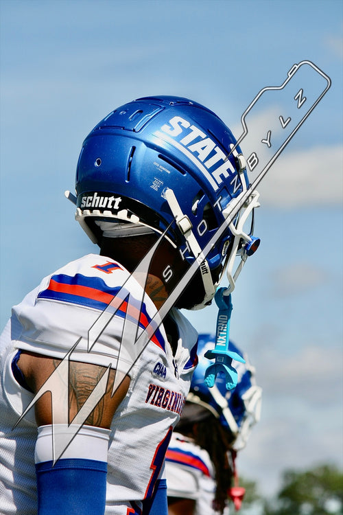 #1 Virginia State University
