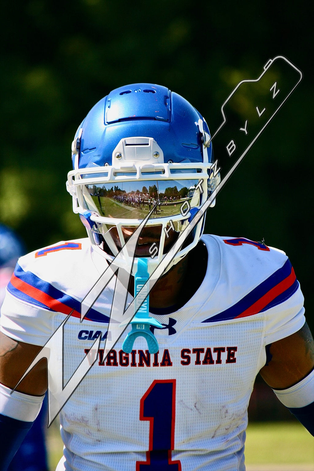 #1 Virginia State University