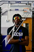 Sylvester