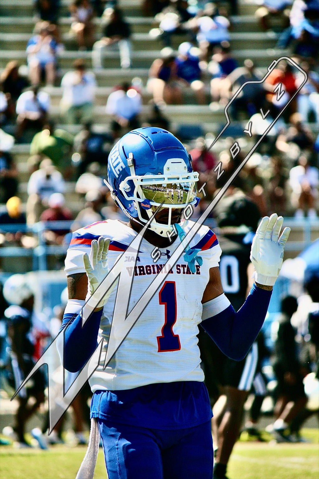 #1 Virginia State University