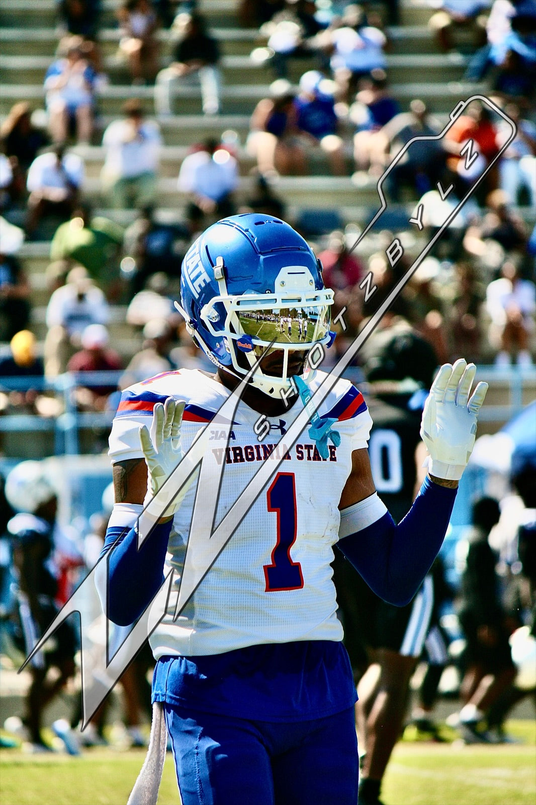 #1 Virginia State University